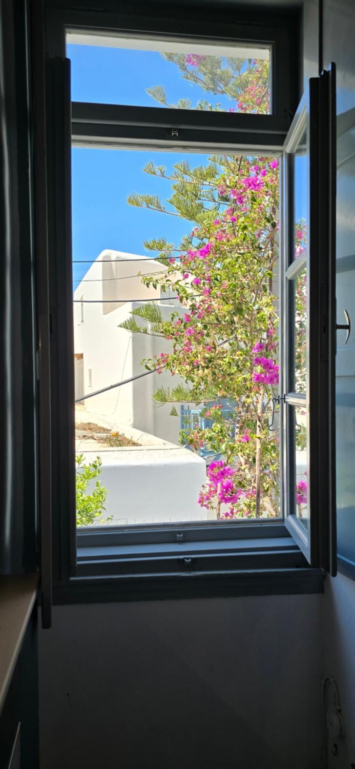 Majestic house in the heart of Mykonos Apartment in Mykonos