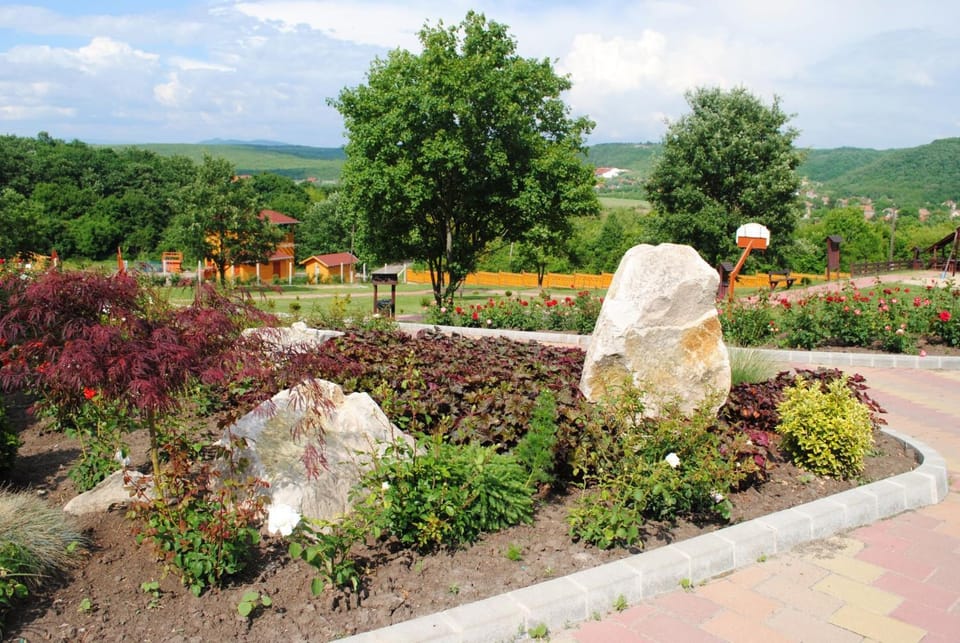 Garden, Garden view, Mountain view