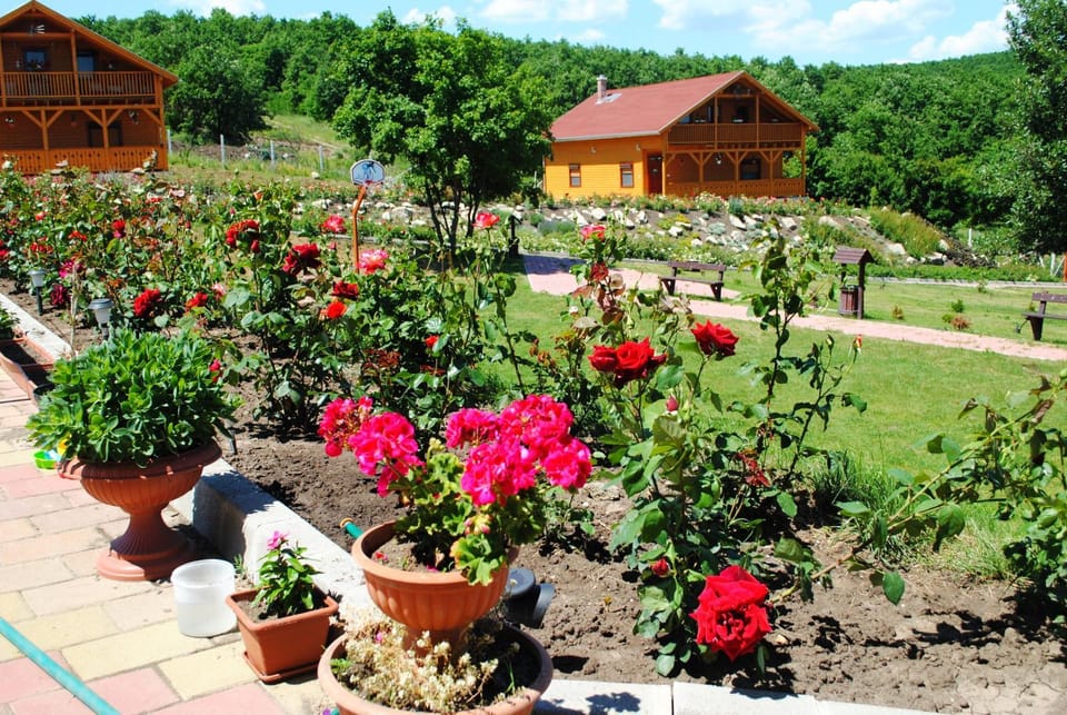 Property building, Garden view