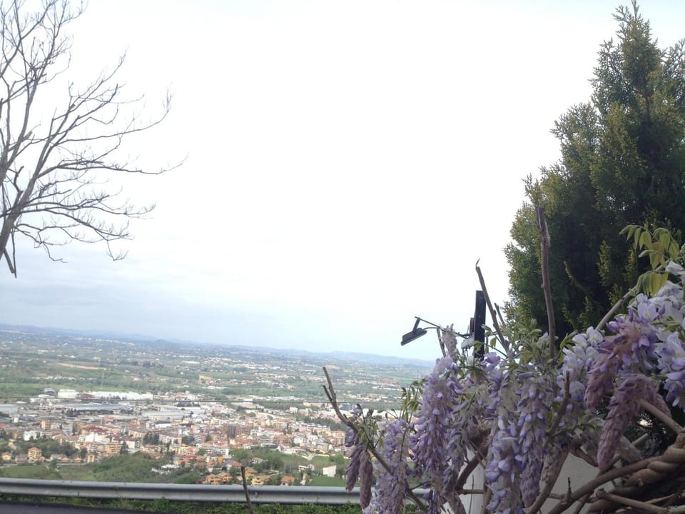 Property building, Spring, Day, View (from property/room), Other, Decorative detail, City view, Garden view, Landmark view, Mountain view, Sea view, Street view, Seasons, Time of day, Location