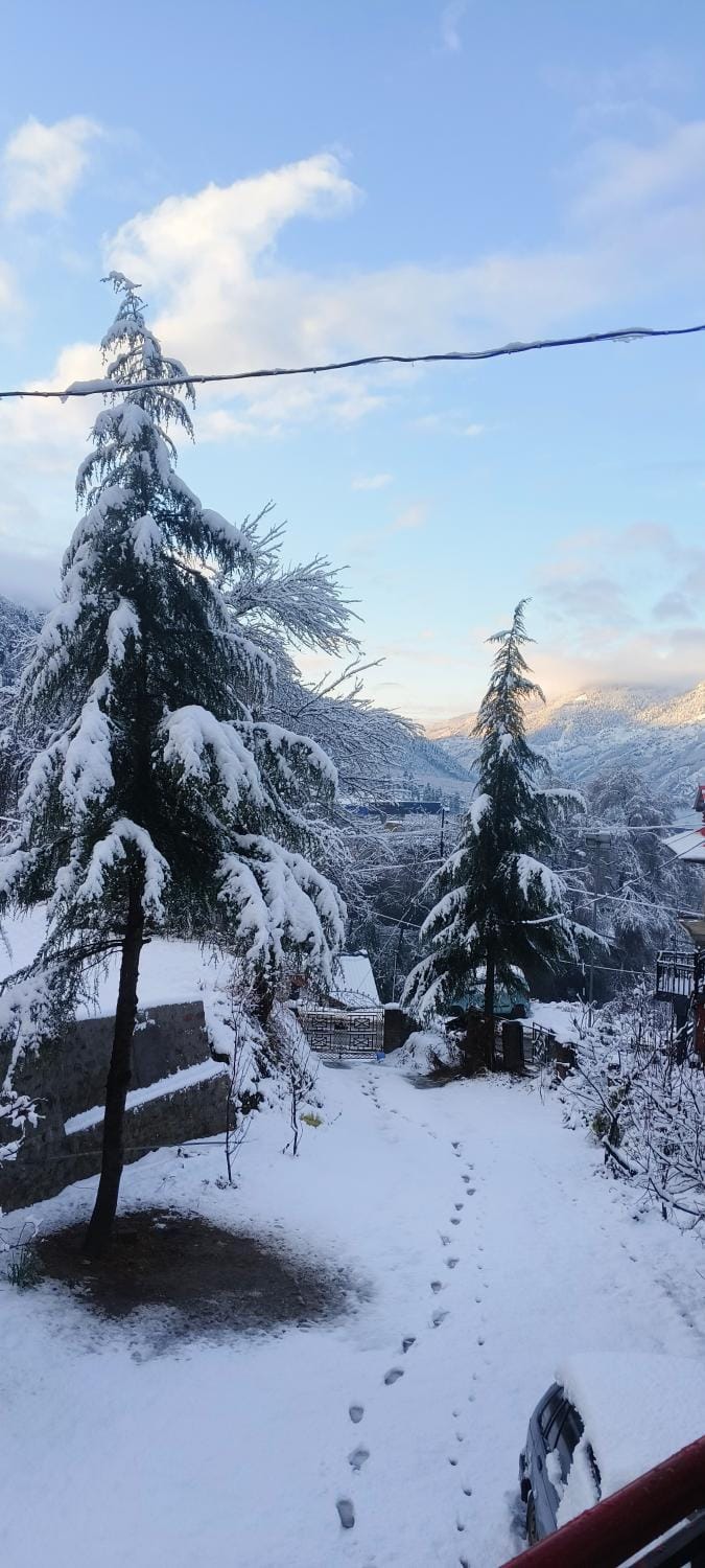 Winter, Mountain view