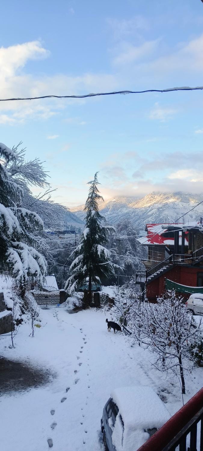 Natural landscape, Winter