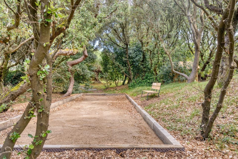 Children play ground, Garden, Garden view