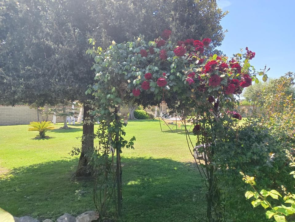 Elegance B&B Bed and Breakfast in Lazio