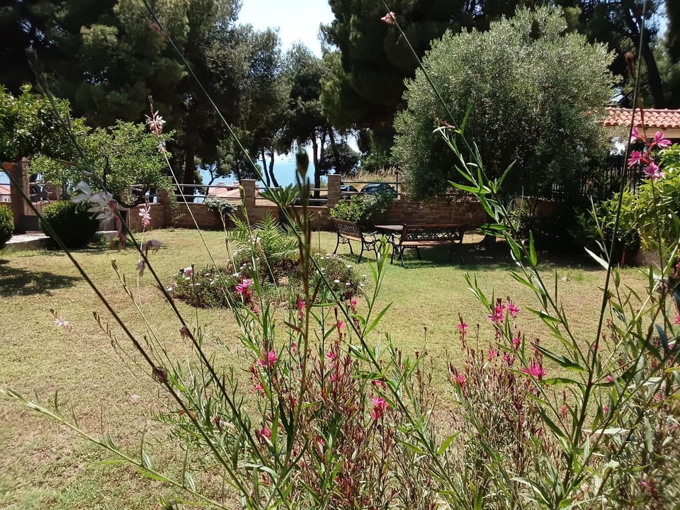 Garden, Garden view