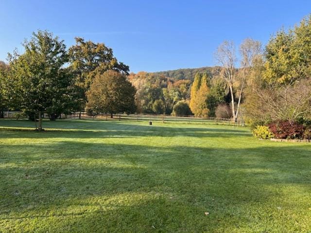 Spring, Natural landscape, Garden, View (from property/room), Garden view