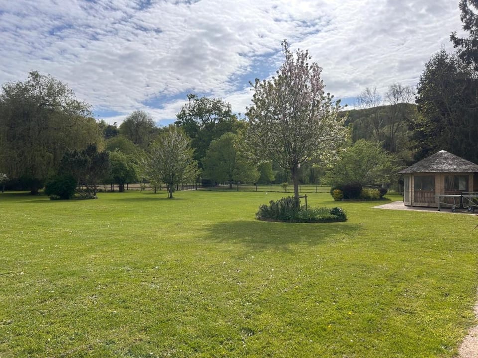 Spring, Natural landscape, Garden, View (from property/room), Garden view