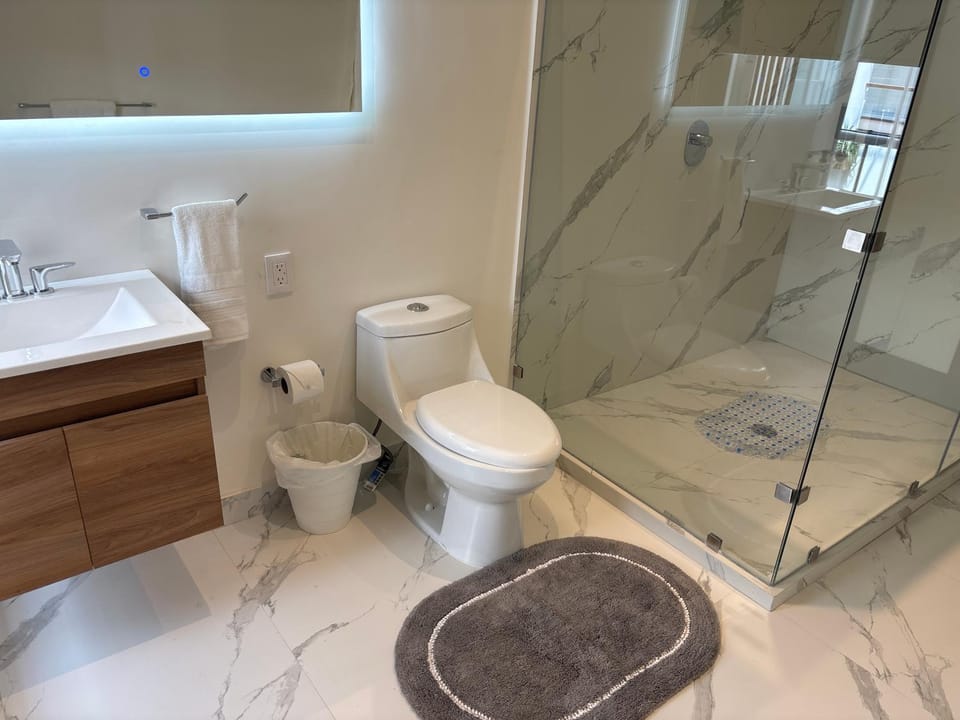 Shower, Toilet, Bathroom, towels