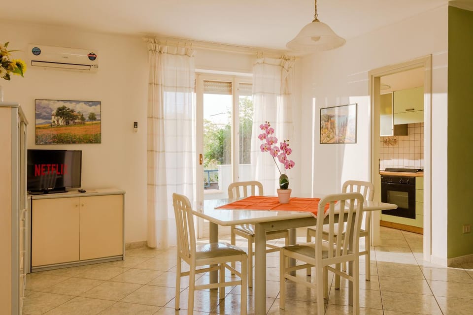 Communal lounge/ TV room, Day, Summer, TV and multimedia, Living room, Seating area, Pets, Seasons, Time of day