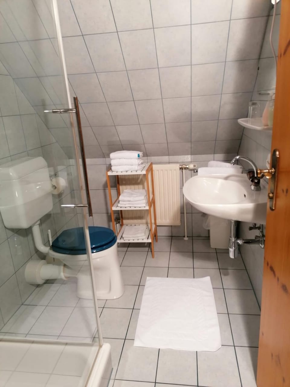 Shower, Toilet