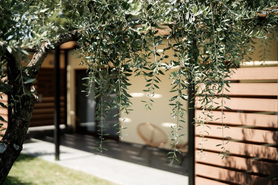Meraki luxury bungalows Hotel in Thasos