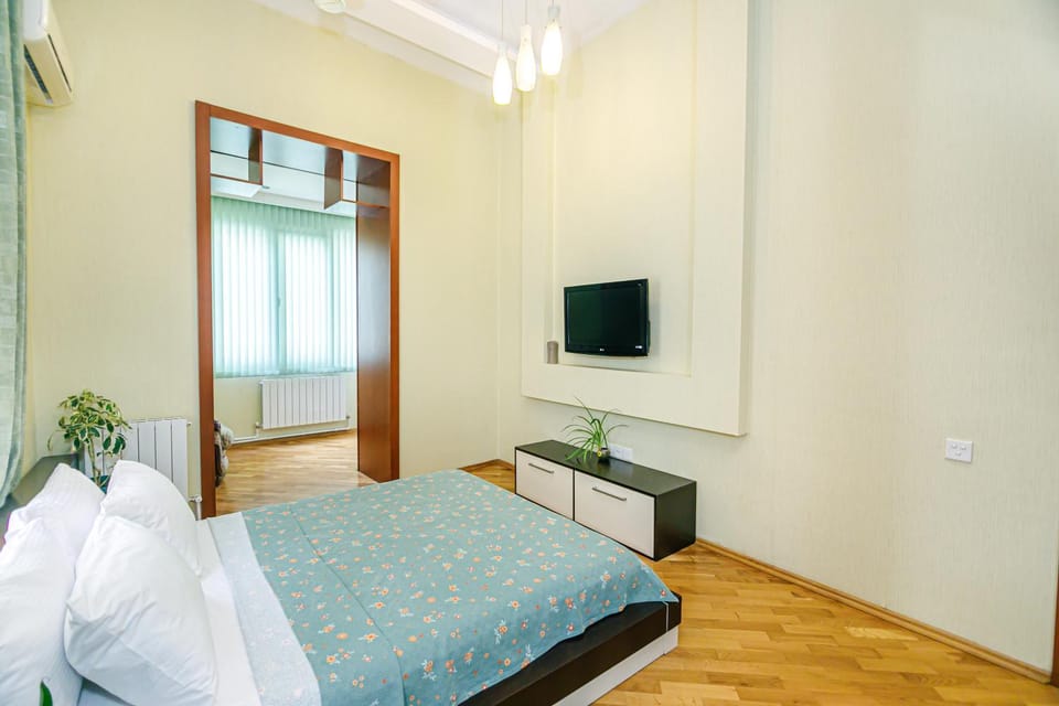 Nizami Street Cozy Studio Apartment Apartment in Baku