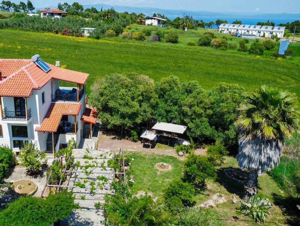 Property building, Spring, Day, Natural landscape, Bird's eye view, Garden, Garden view