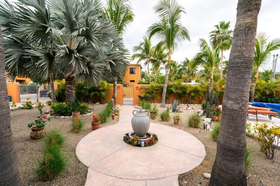 Garden view