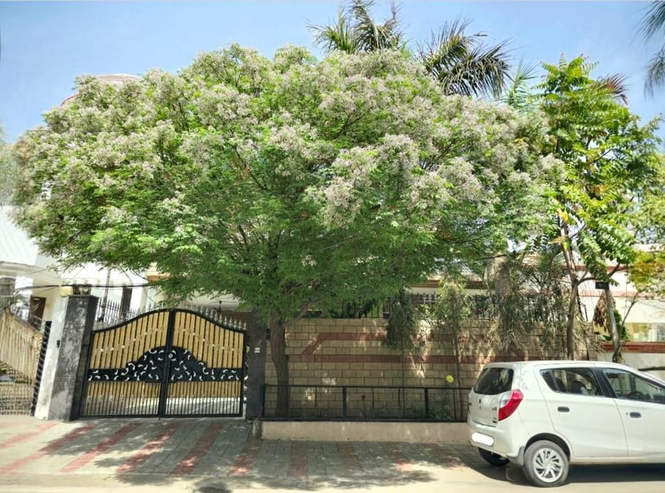 Kanwar Homestay House in Punjab, India