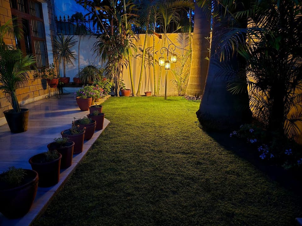 Garden