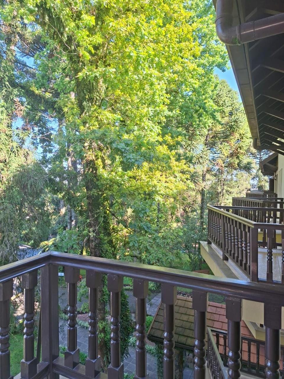 View (from property/room), Garden view