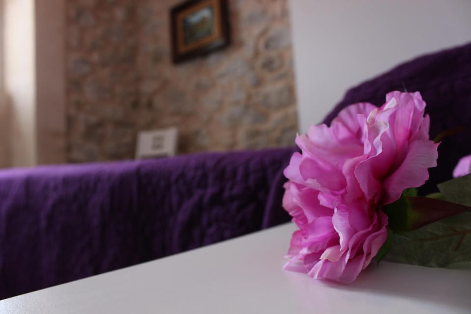 Montesal La Cantina Del Puerto Apartment in Cantabria
