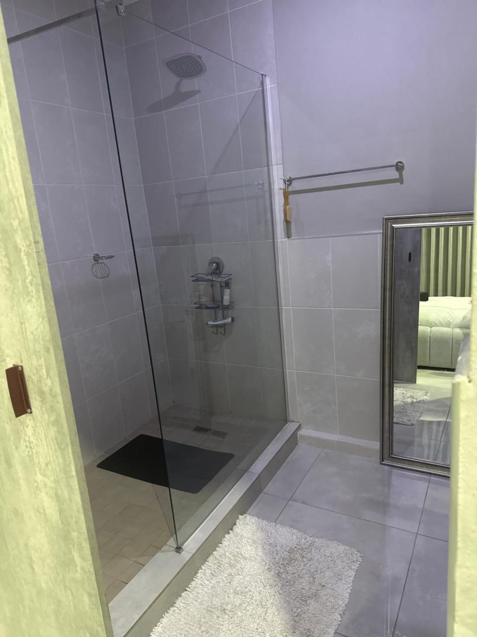 Shower, Toilet, towels