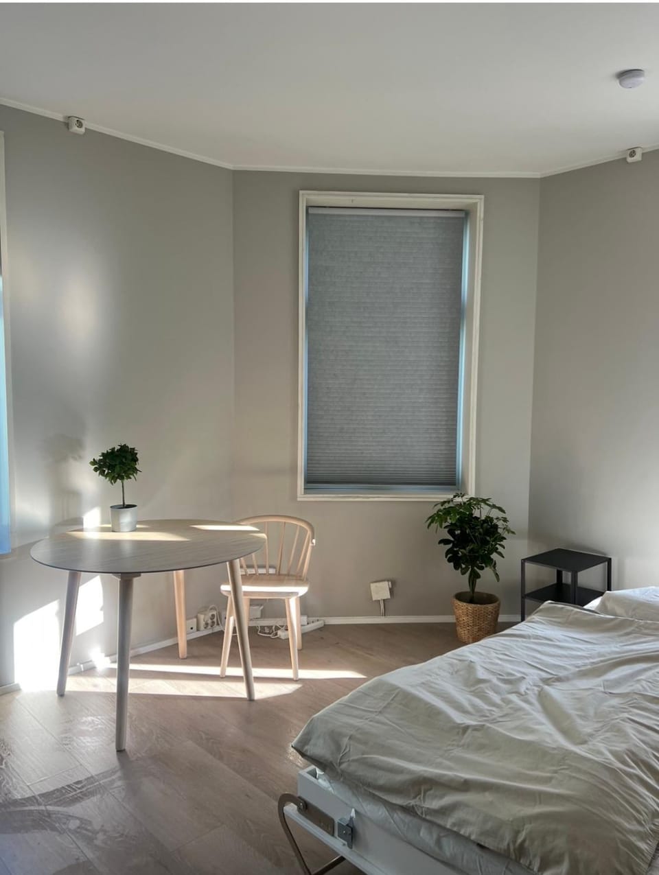 Studioleilighet i Bergen Sentrum Apartment in Bergen