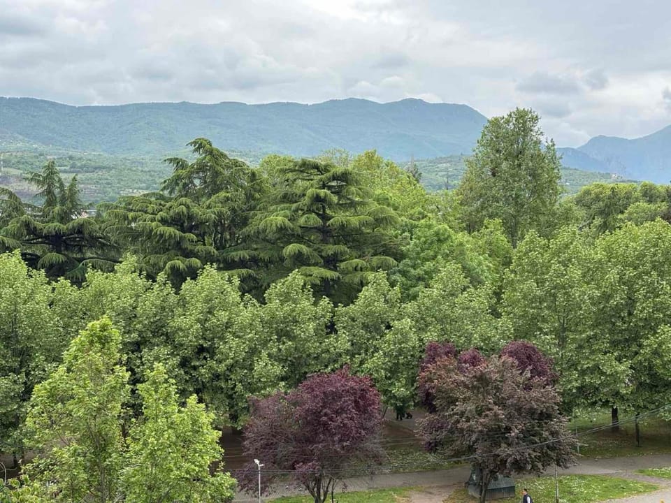 Mountain view