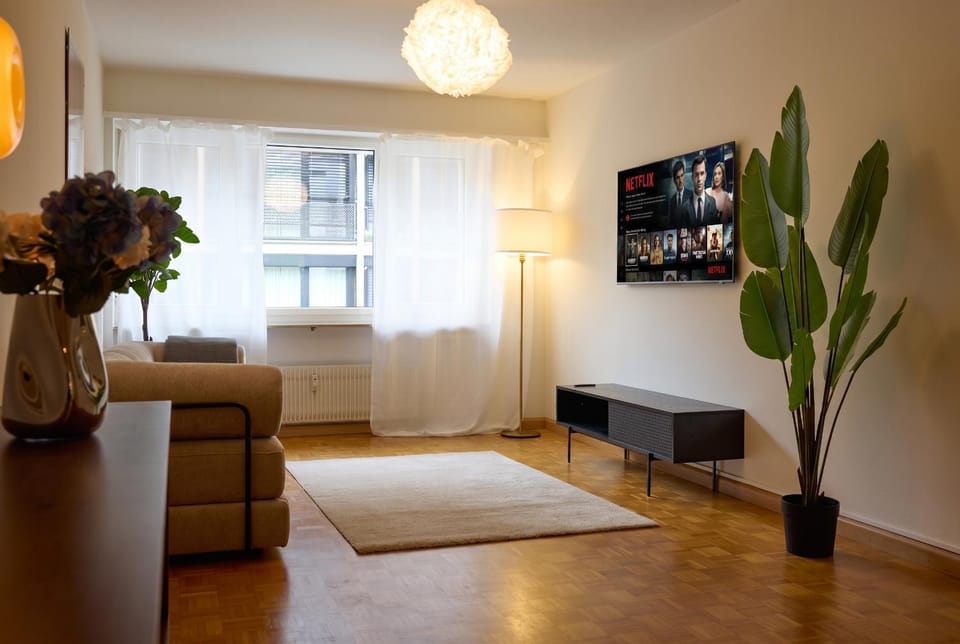 Central Vintage Apartment with Free BaselCard Apartment in Saint-Louis