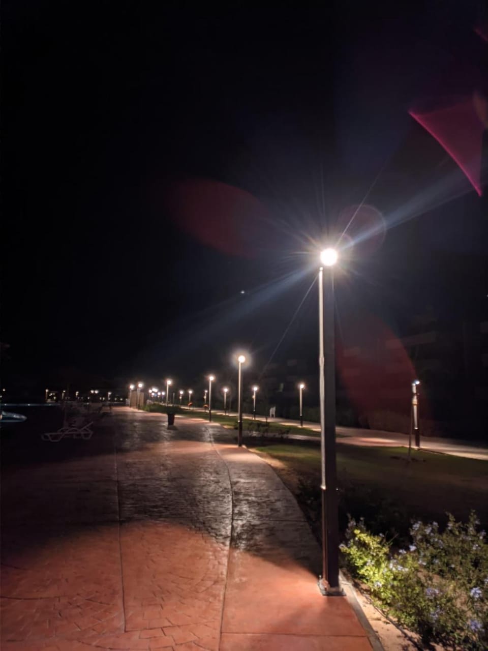 Night