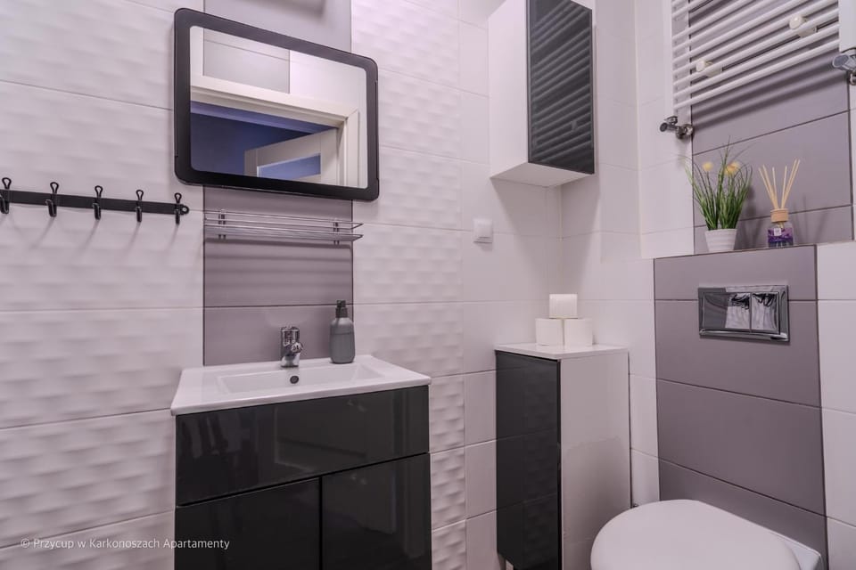 Toilet, Bathroom, towels