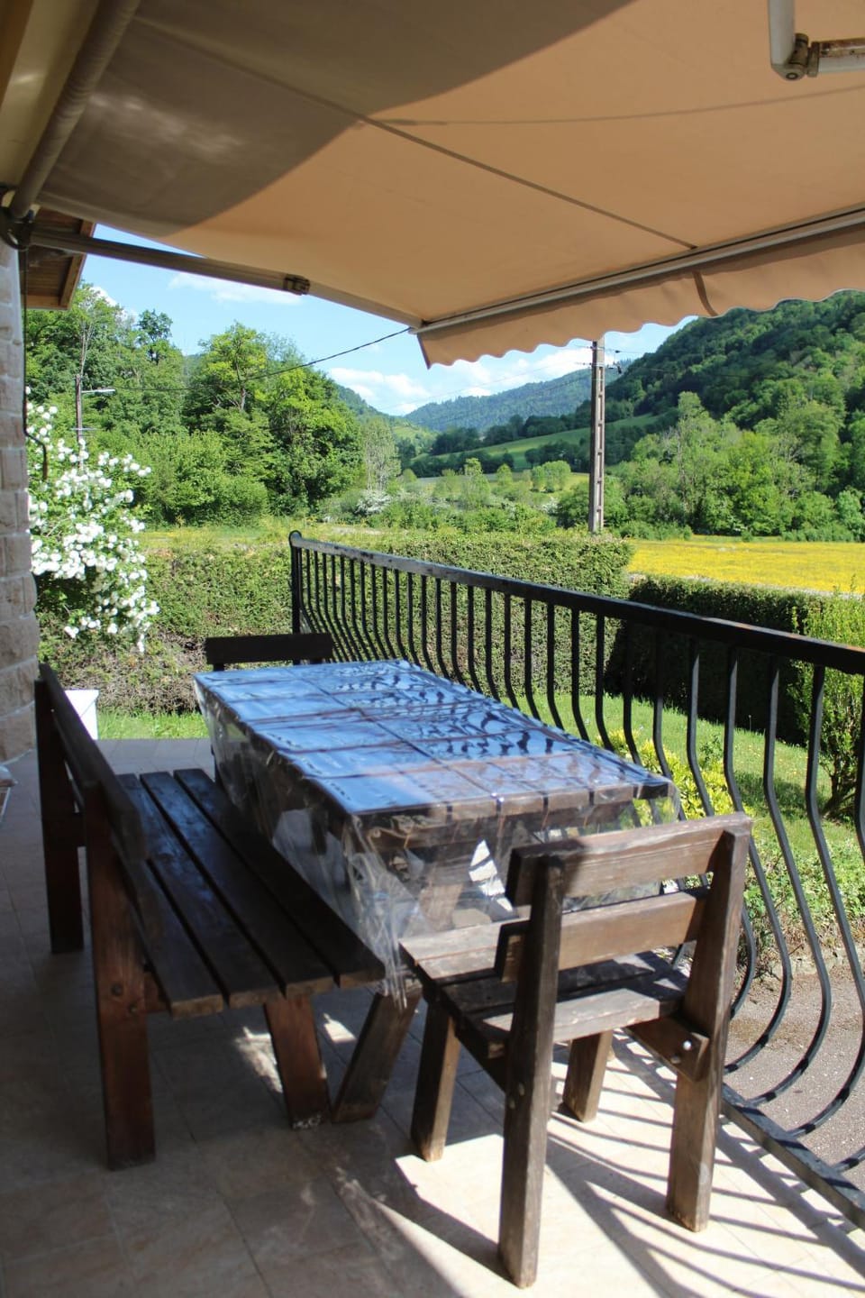 Garden view
