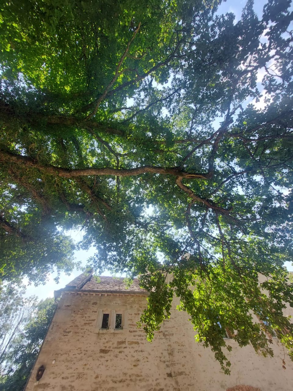 Day, Natural landscape