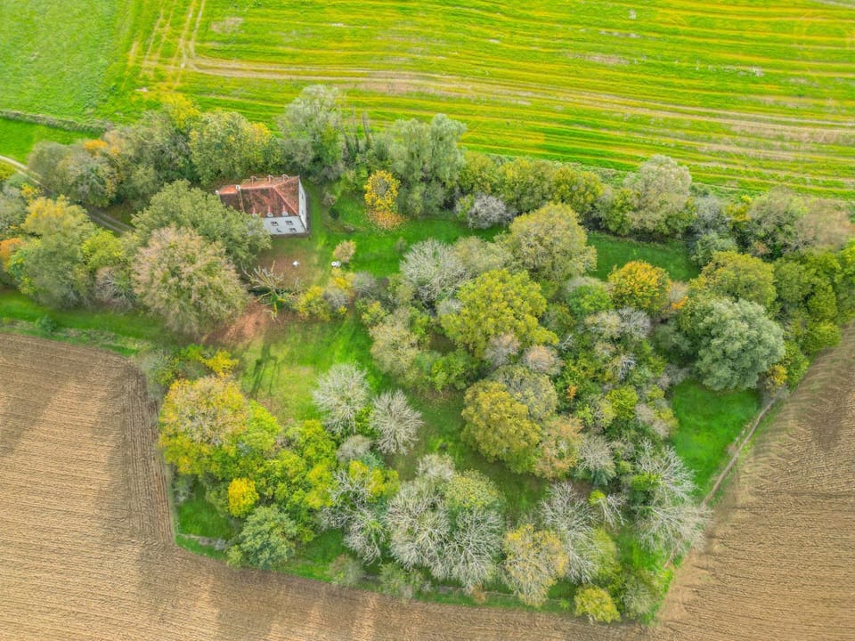 Natural landscape, Bird's eye view, Garden, Garden view