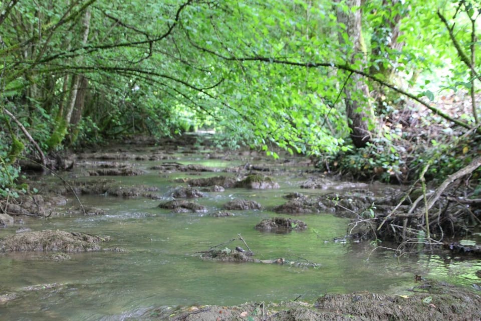 Day, Natural landscape, River view