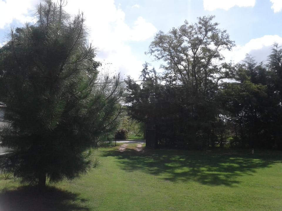 Garden, Lobby or reception, On site