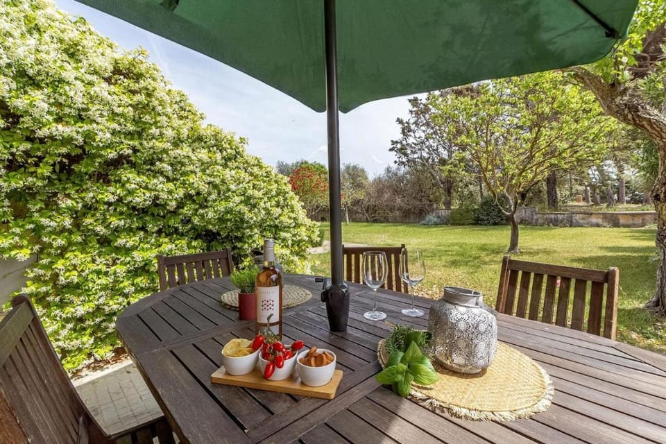 Day, Garden, Garden view, Garden view