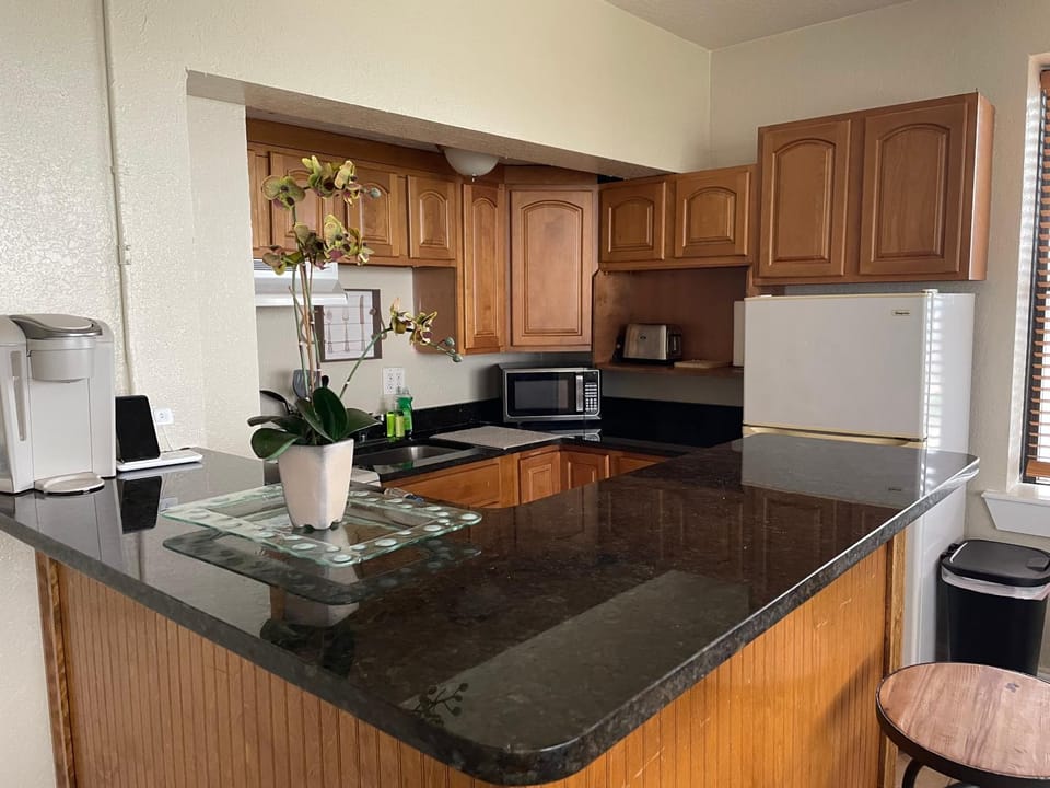 Historic Heart of Downtown Jax Apartment in Jacksonville