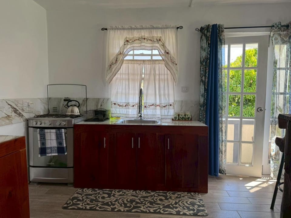 Kitchen or kitchenette, kitchen, kitchen