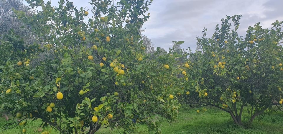Piccolo Paradiso Crotone Bed and Breakfast in Calabria