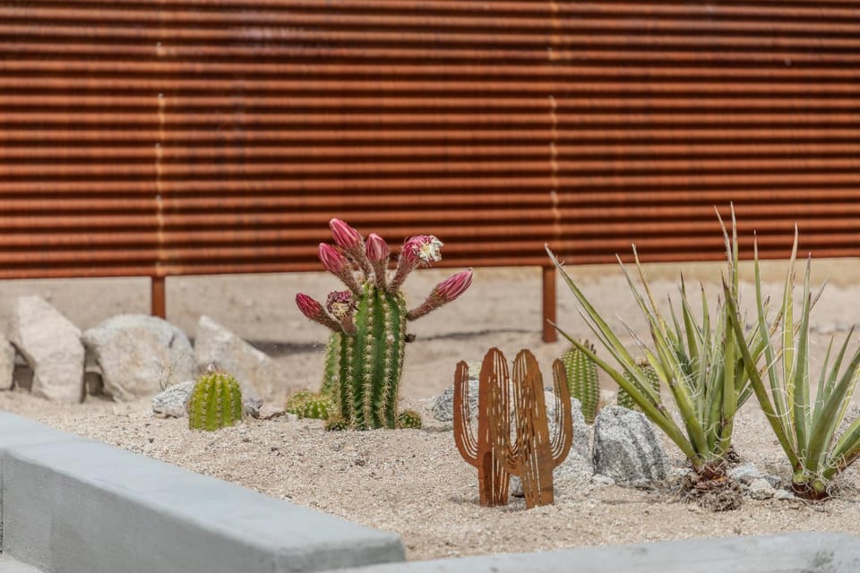 Natural landscape, Garden view