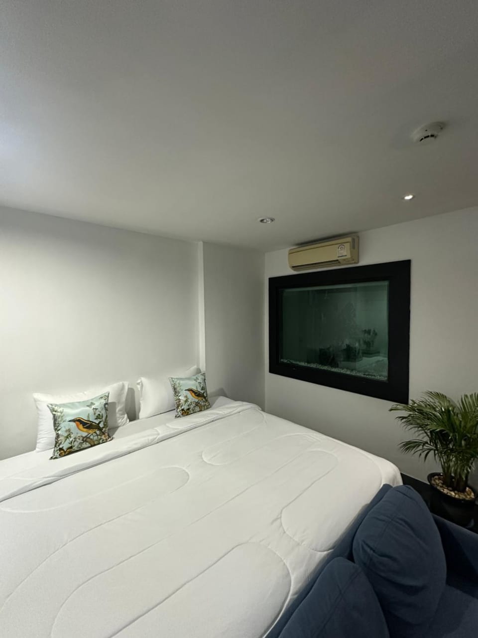 Grand Patong Service Apartment Black Coral Apartment in Patong