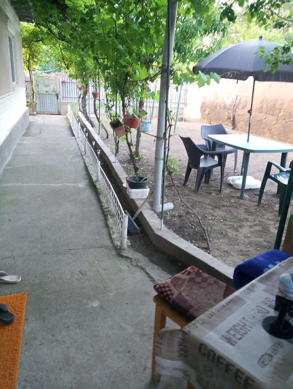 Garden, Balcony/Terrace
