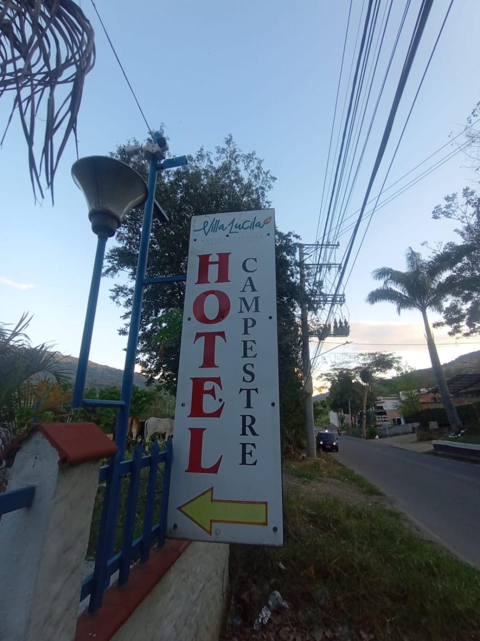 Day, Text overlay, Street view
