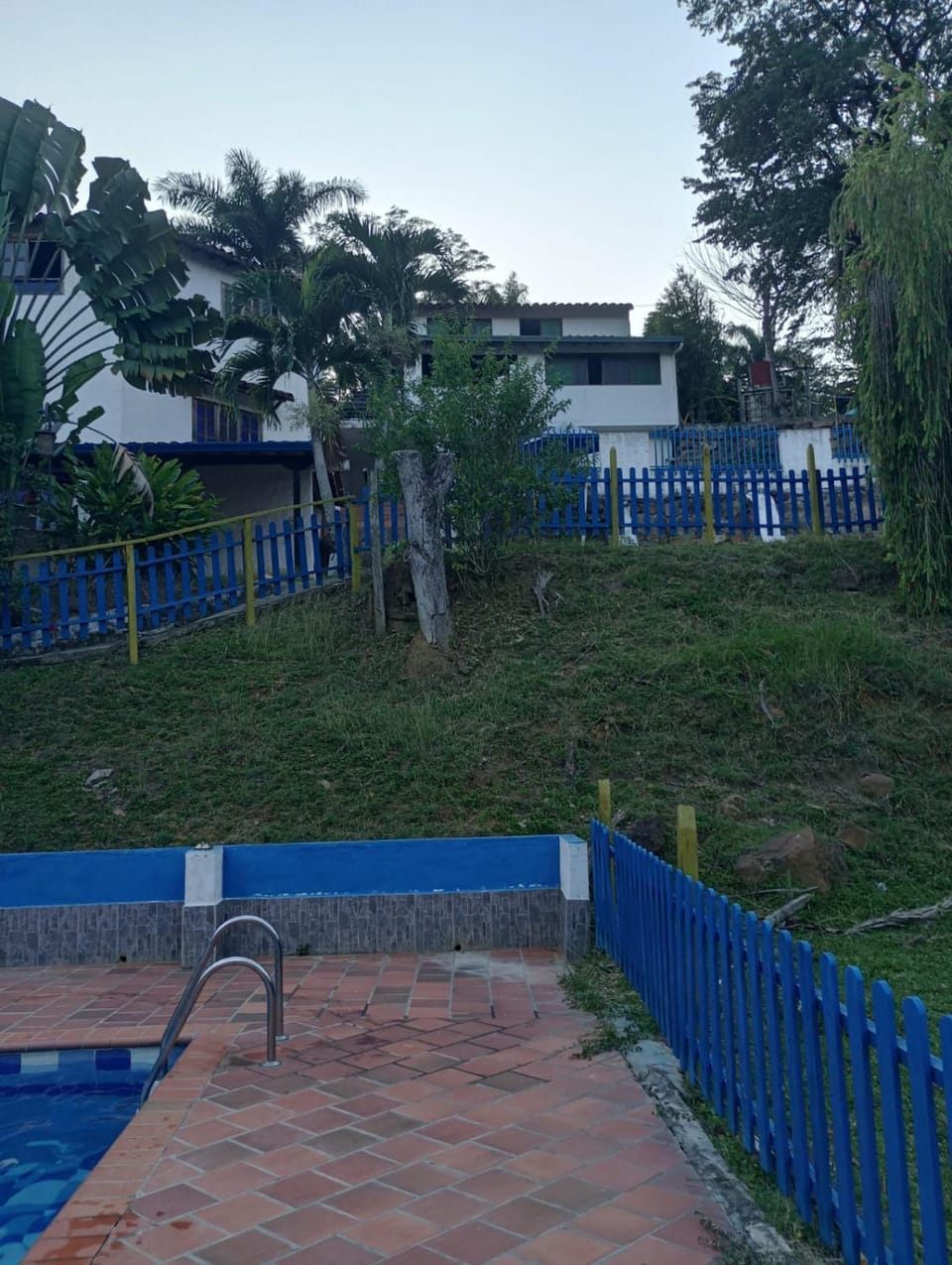 Day, Garden, Garden view, Pool view, Swimming pool