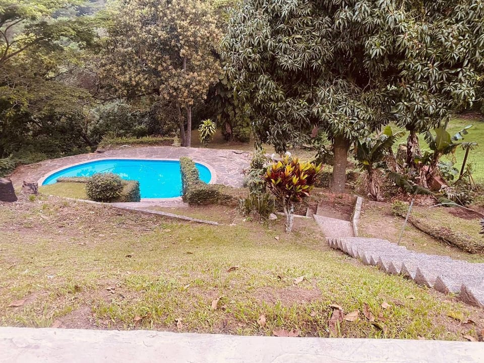 Garden, Swimming pool