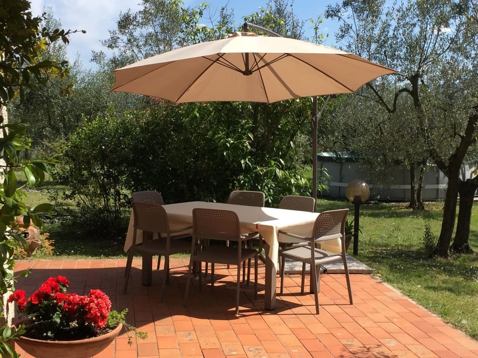 Garden, Garden view, Pool view