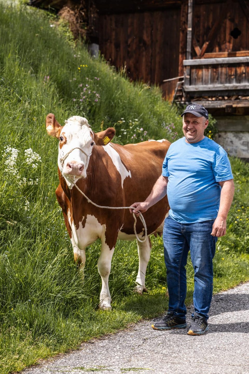 People, Animals