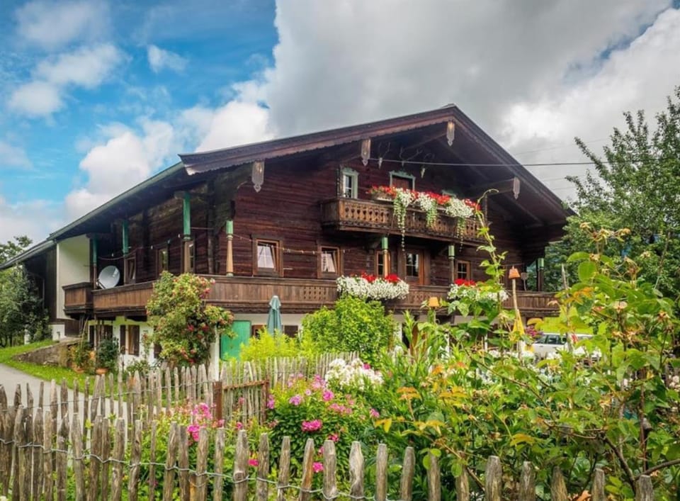 Property building, Garden, Garden view