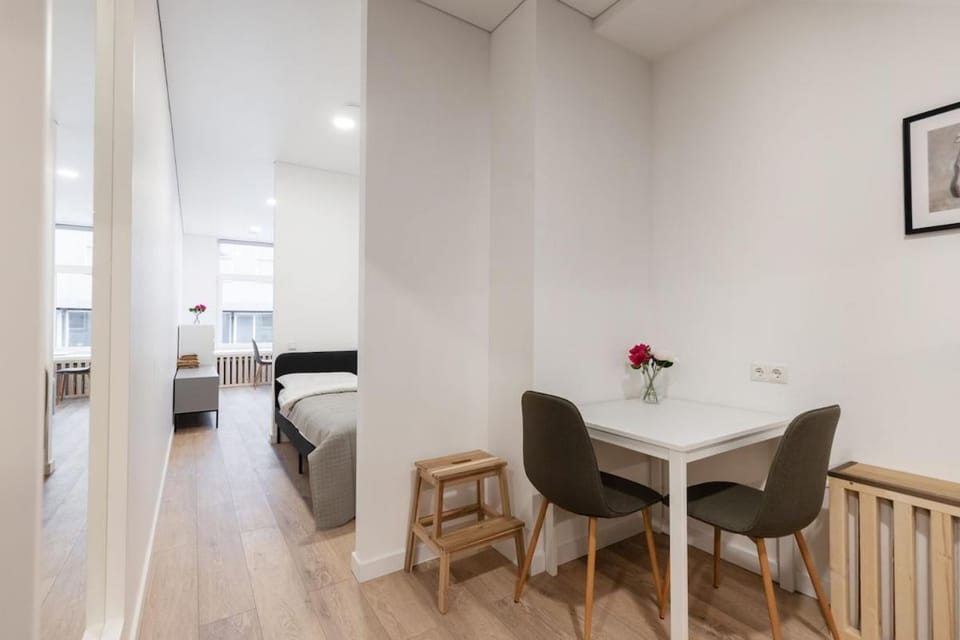 Hook Urban Spacious Studio Apartment in Vilnius
