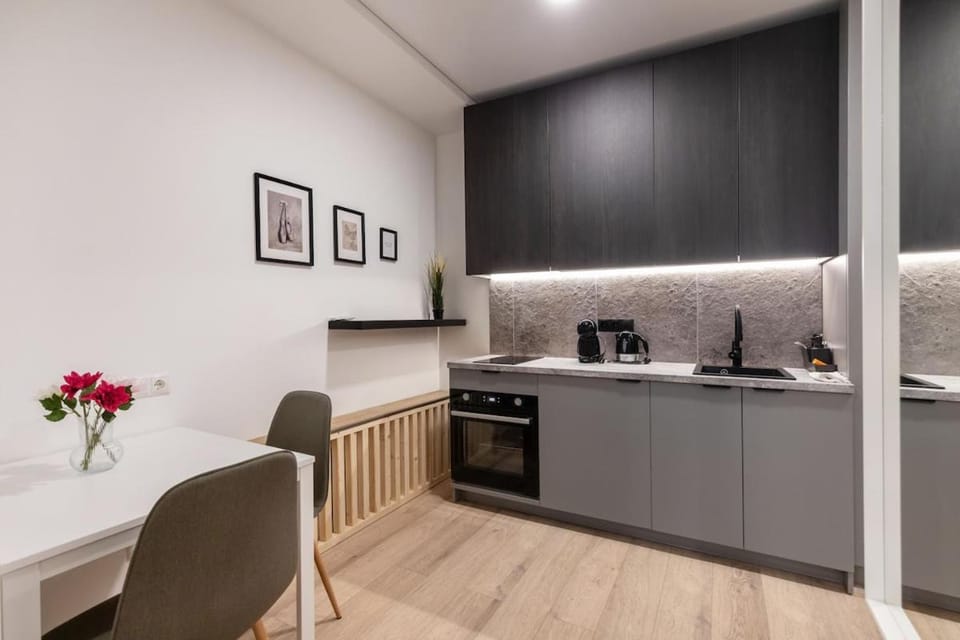 Hook Urban Spacious Studio Apartment in Vilnius