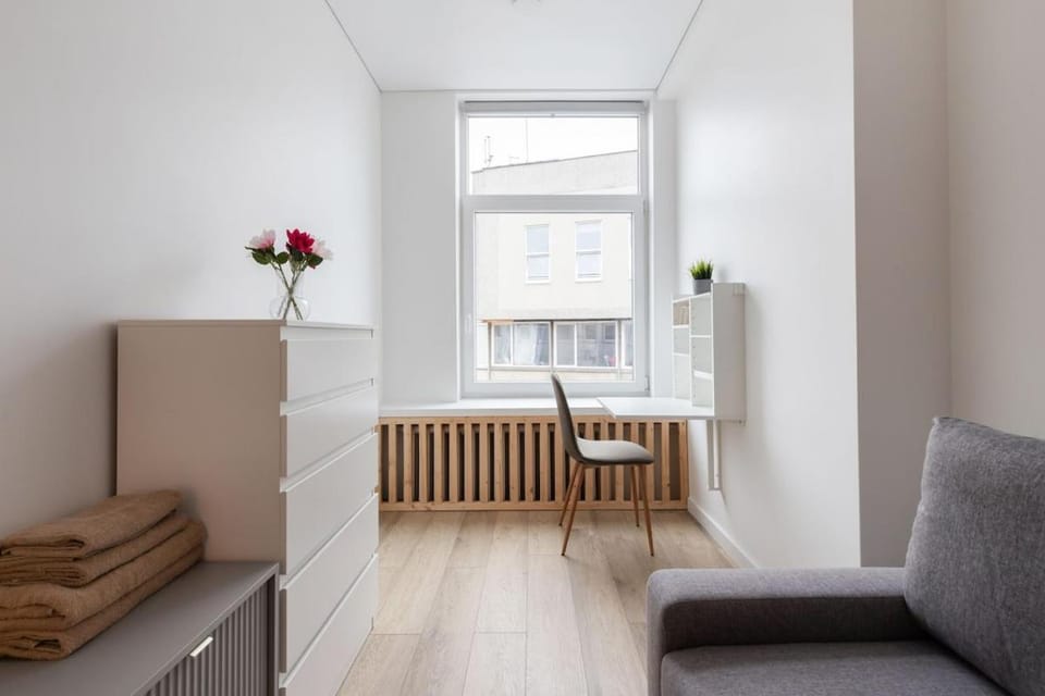 Hook Urban Spacious Studio Apartment in Vilnius