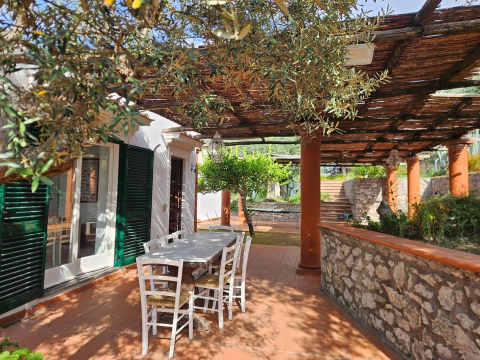 Property building, Day, Garden, Dining area, Garden view